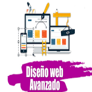 paginas web profesional puno